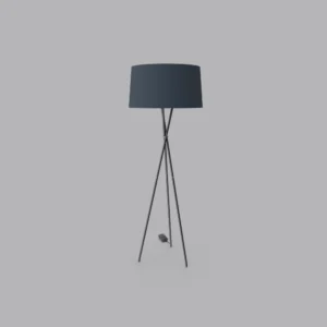 Tripod Light